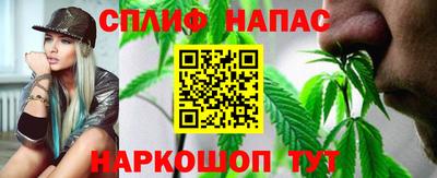 шишки Будённовск