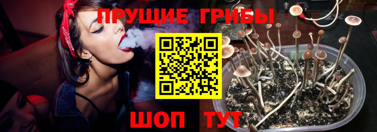 Алапаевск  Псилоцибиновые грибы ЛСД  Вход с VPN 